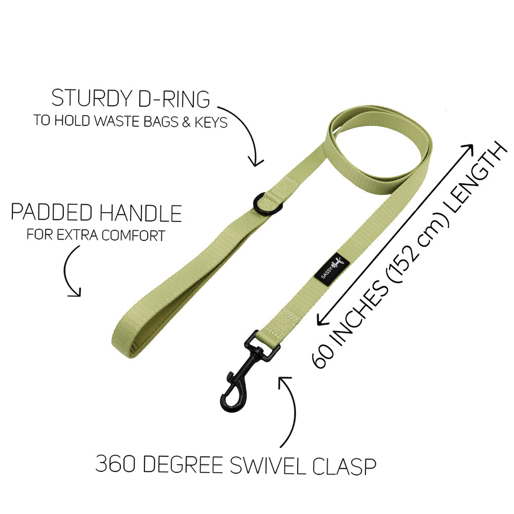 Dog Three Piece Bundle - Matcha