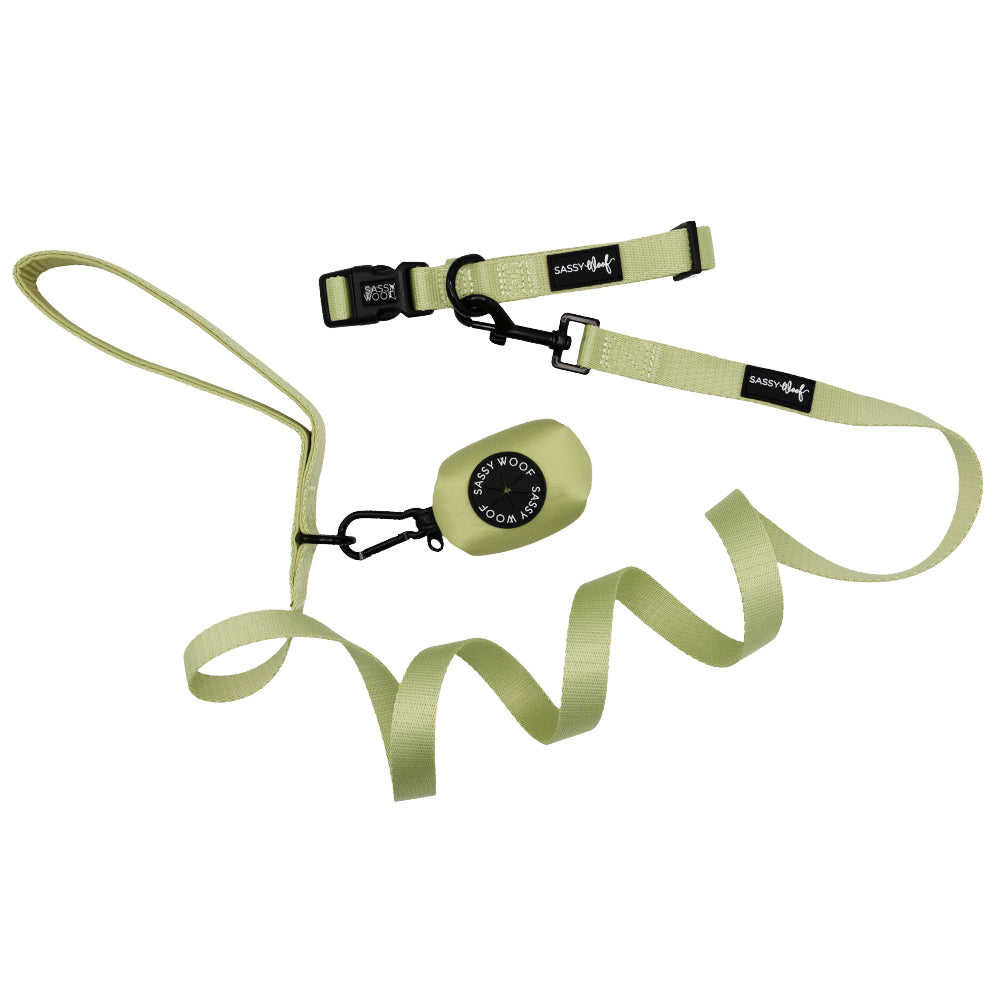 Dog Three Piece Bundle - Matcha