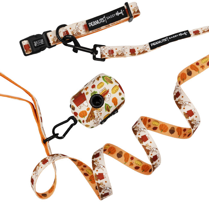 Dog Collar Three Piece Bundle - Peanuts™ Harvest