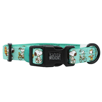 Dog Collar Three Piece Bundle - Peanuts™ Road Tripping
