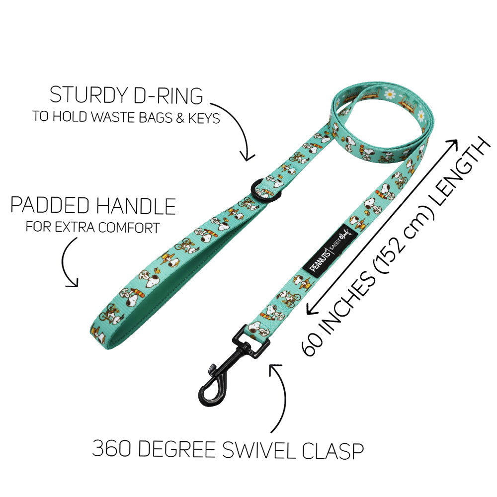 Dog Collar Three Piece Bundle - Peanuts™ Road Tripping