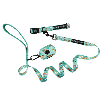 Dog Collar Three Piece Bundle - Peanuts™ Road Tripping