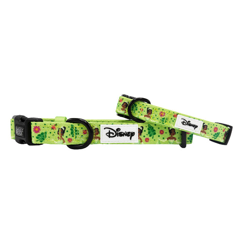 Dog Collar - Disney's Tiana
