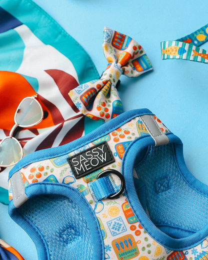 Cat Bowtie - Portofino