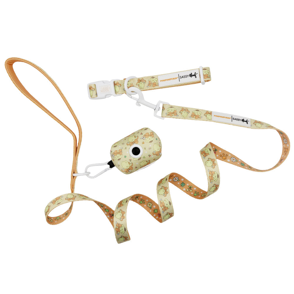 Dog Collar Three Piece Bundle - Pompompurin™