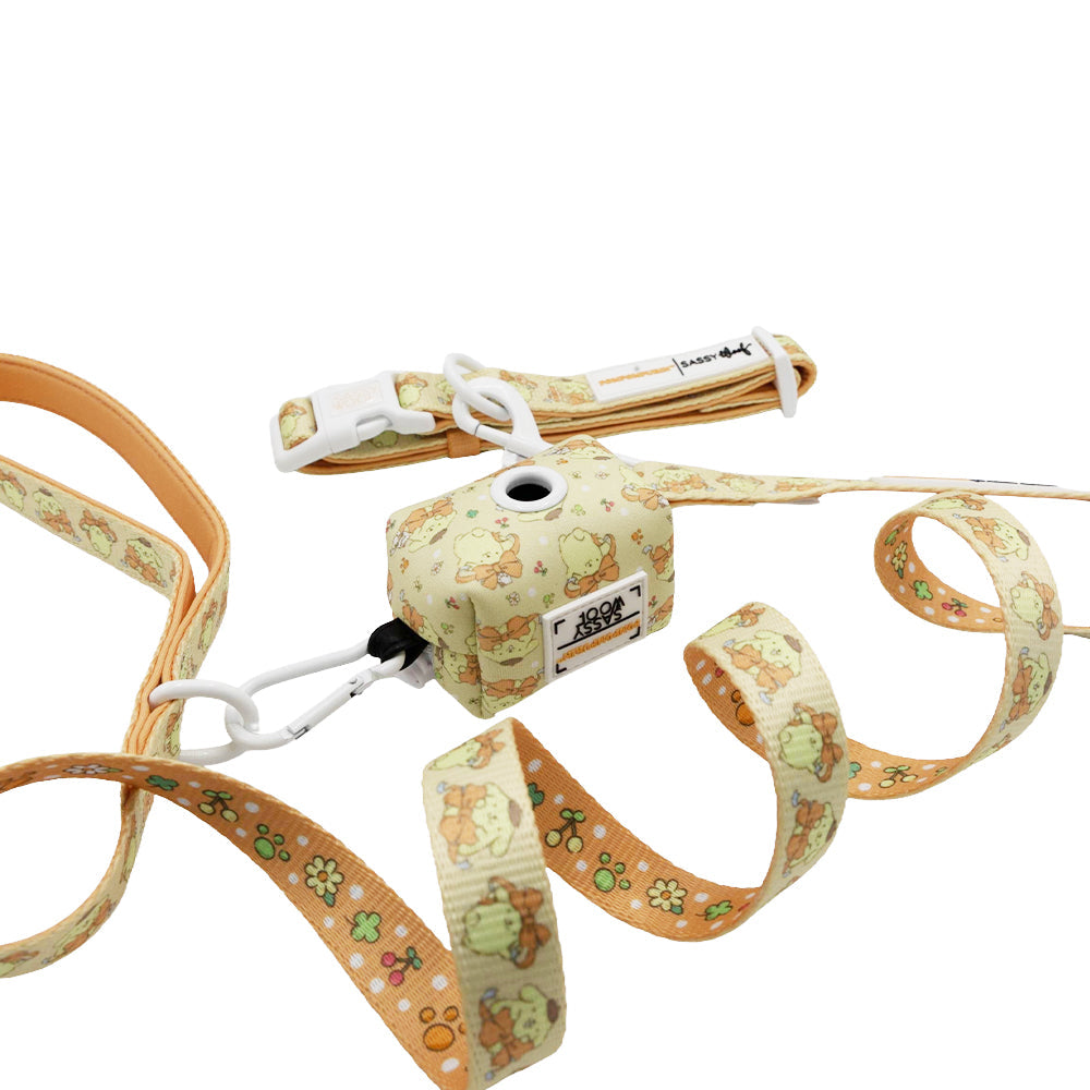 Dog Collar Three Piece Bundle - Pompompurin™