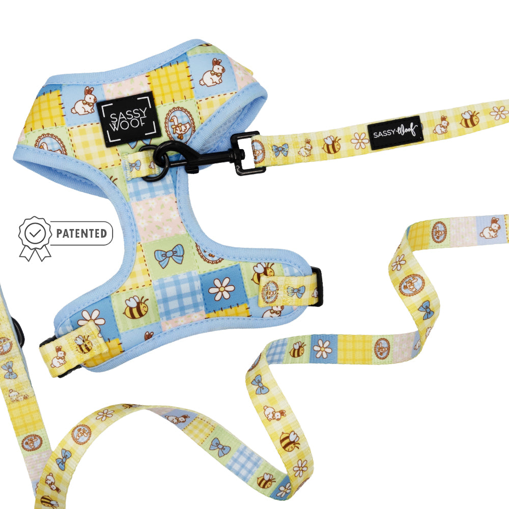 Dog Two Piece Bundle - Patch Perfect