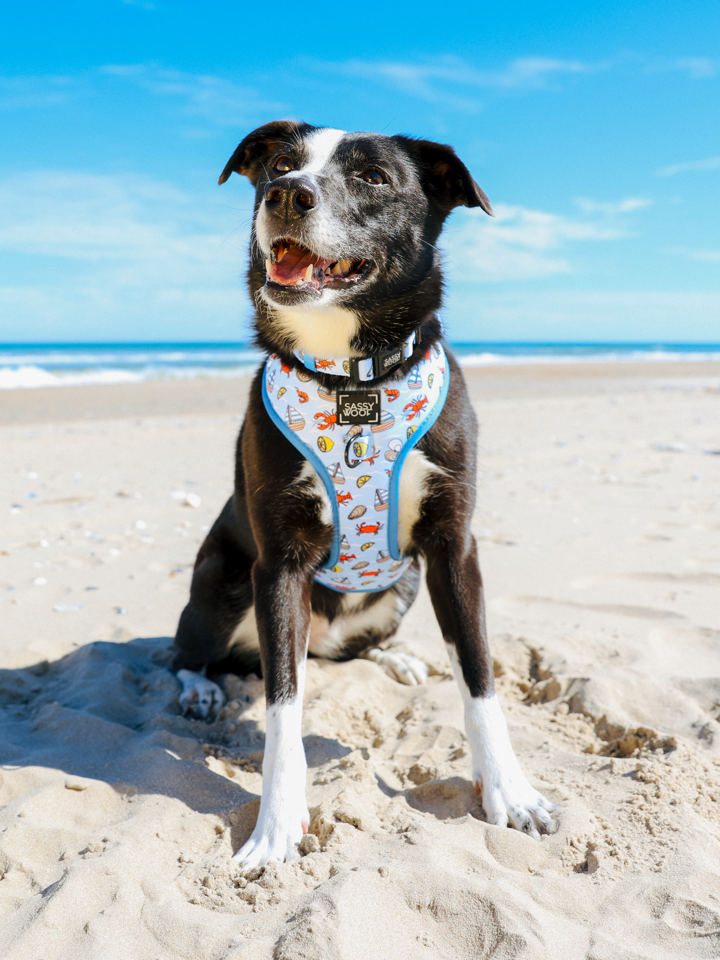 Dog Adjustable Harness -  Coastal Cuties