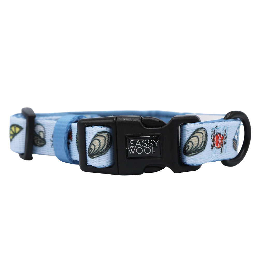 Dog Collar - Coastal Cuties