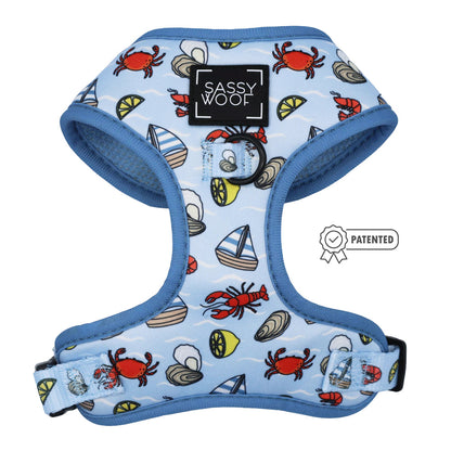 Dog Four Piece Bundle - Coastal Cuties