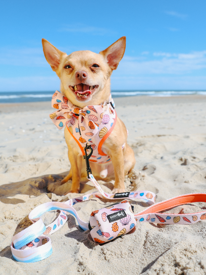Dog Sailor Bow - Shell Yeah