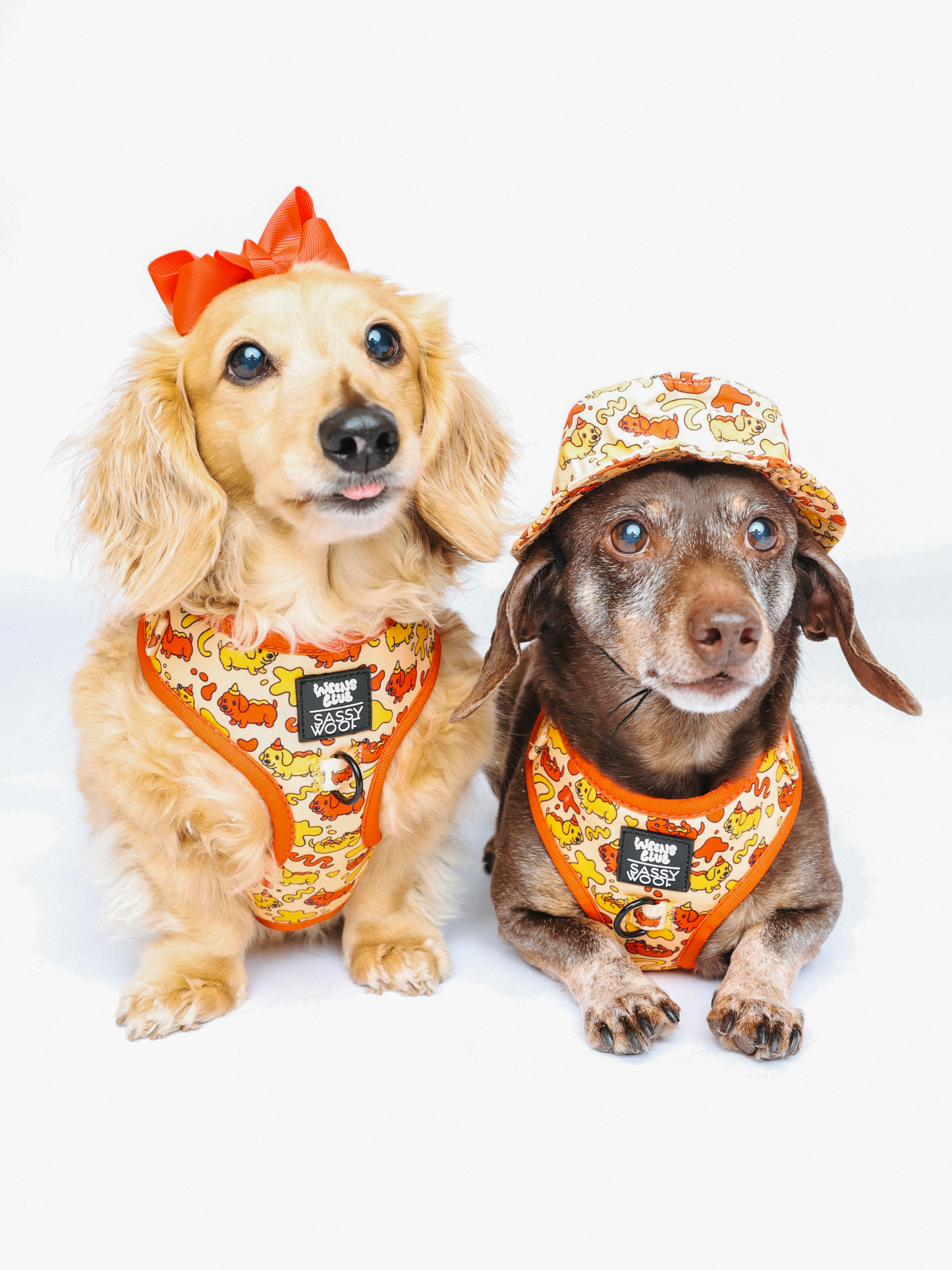 Dog Adjustable Harness - Hot Dawg
