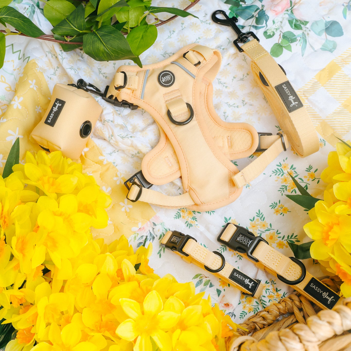 Dog Two Piece Bundle - Daffodil