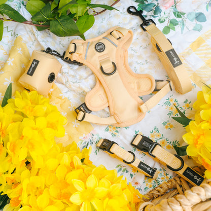 Dog Two Piece Bundle - Daffodil