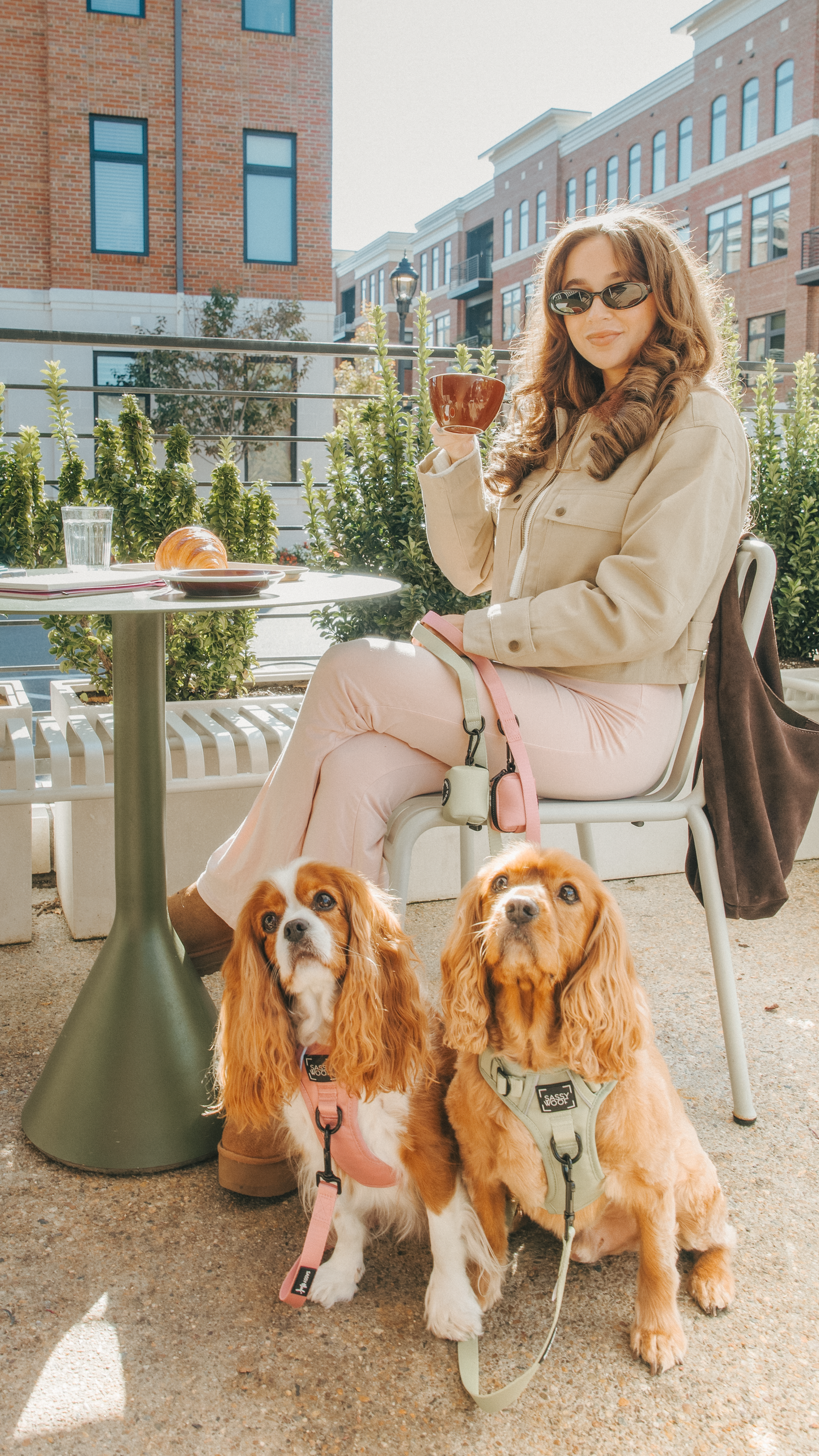 Dog Three Piece Bundle - Matcha