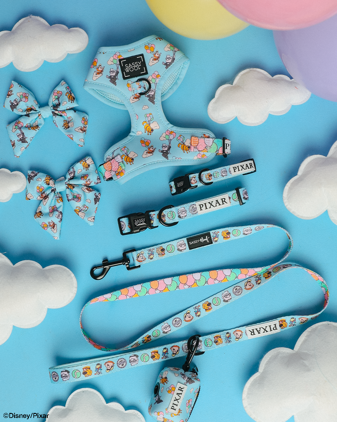 Dog Four Piece Bundle - Disney and Pixar's Up