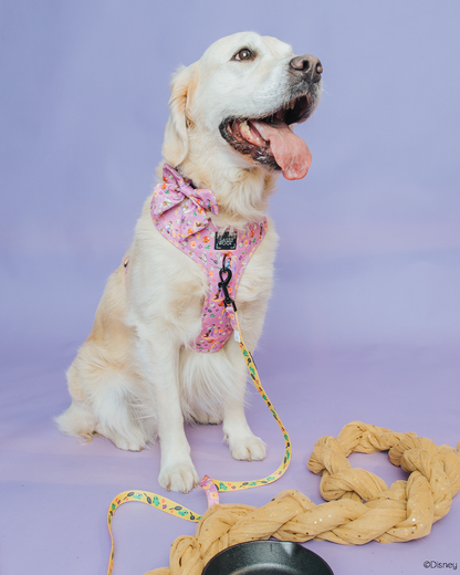 Dog Sailor Bow - Disney's Rapunzel