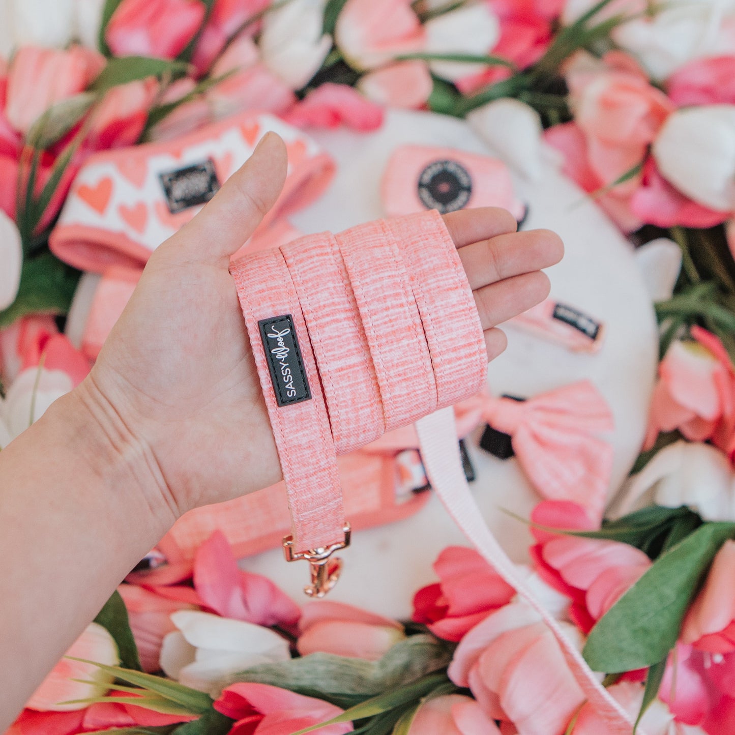 Dog Collar Three Piece Bundle - Dolce Rose