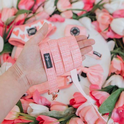 Dog Collar Three Piece Bundle - Dolce Rose