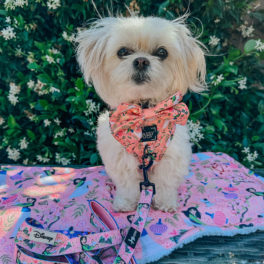 Harness Three Piece Bundle - Disney's Mulan