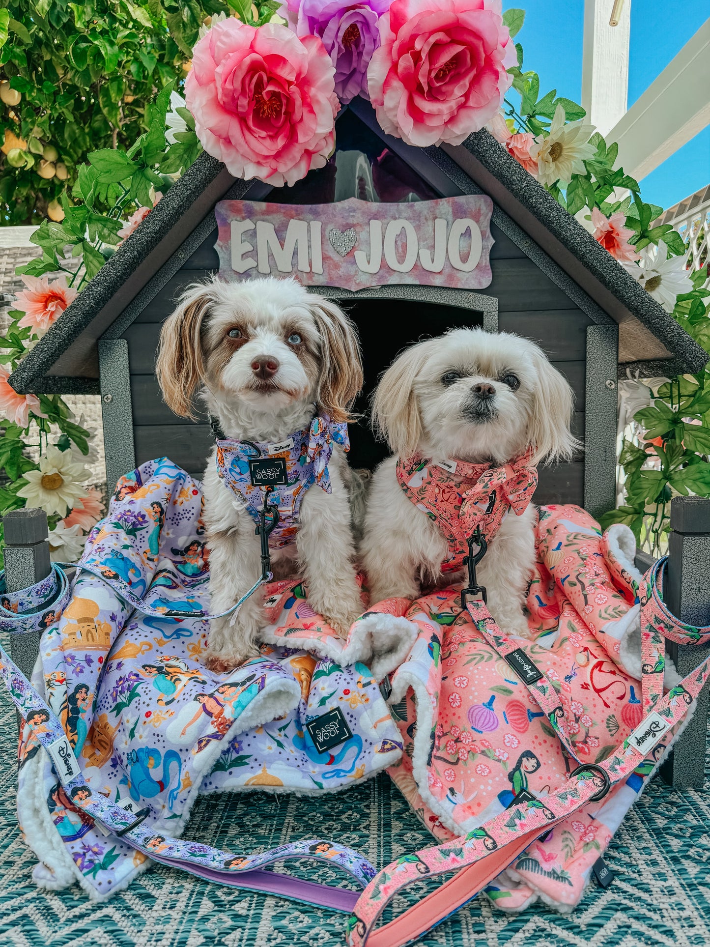 Dog Two Piece Bundle - Disney's Jasmine