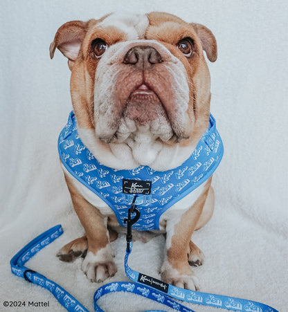Dog Two Piece Bundle - KEN™