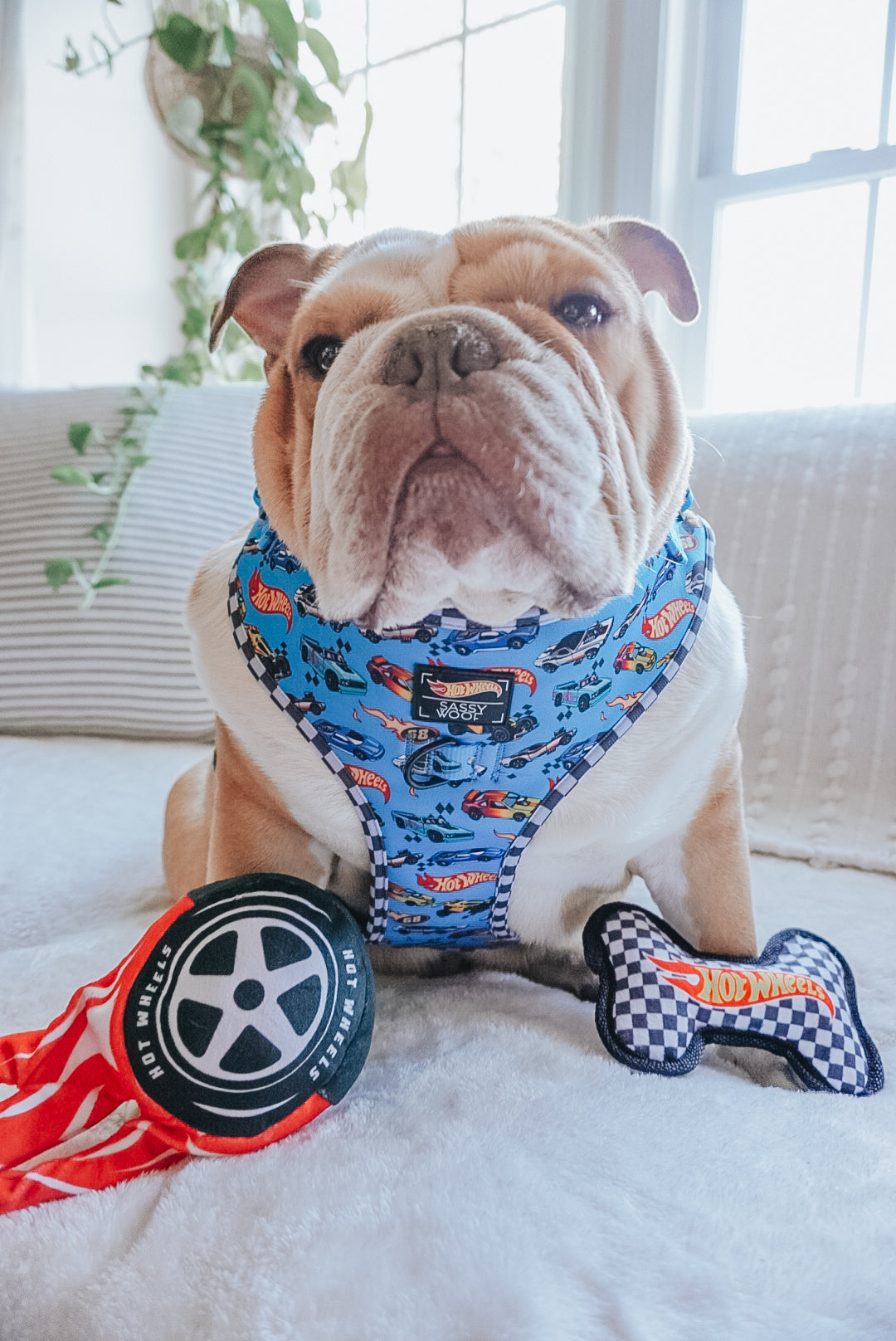 Dog Toy - Hot Wheels™