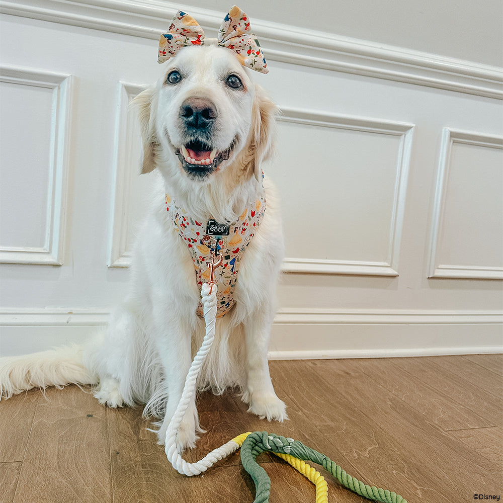 Dog Sailor Bow - Disney's Belle
