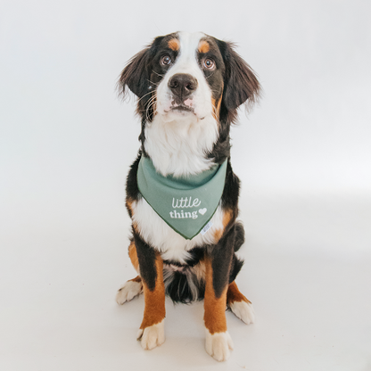 Dog Bandana - Little Thing