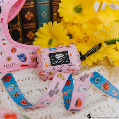 Dog Collar Three Piece Bundle - Gilmore Girls™
