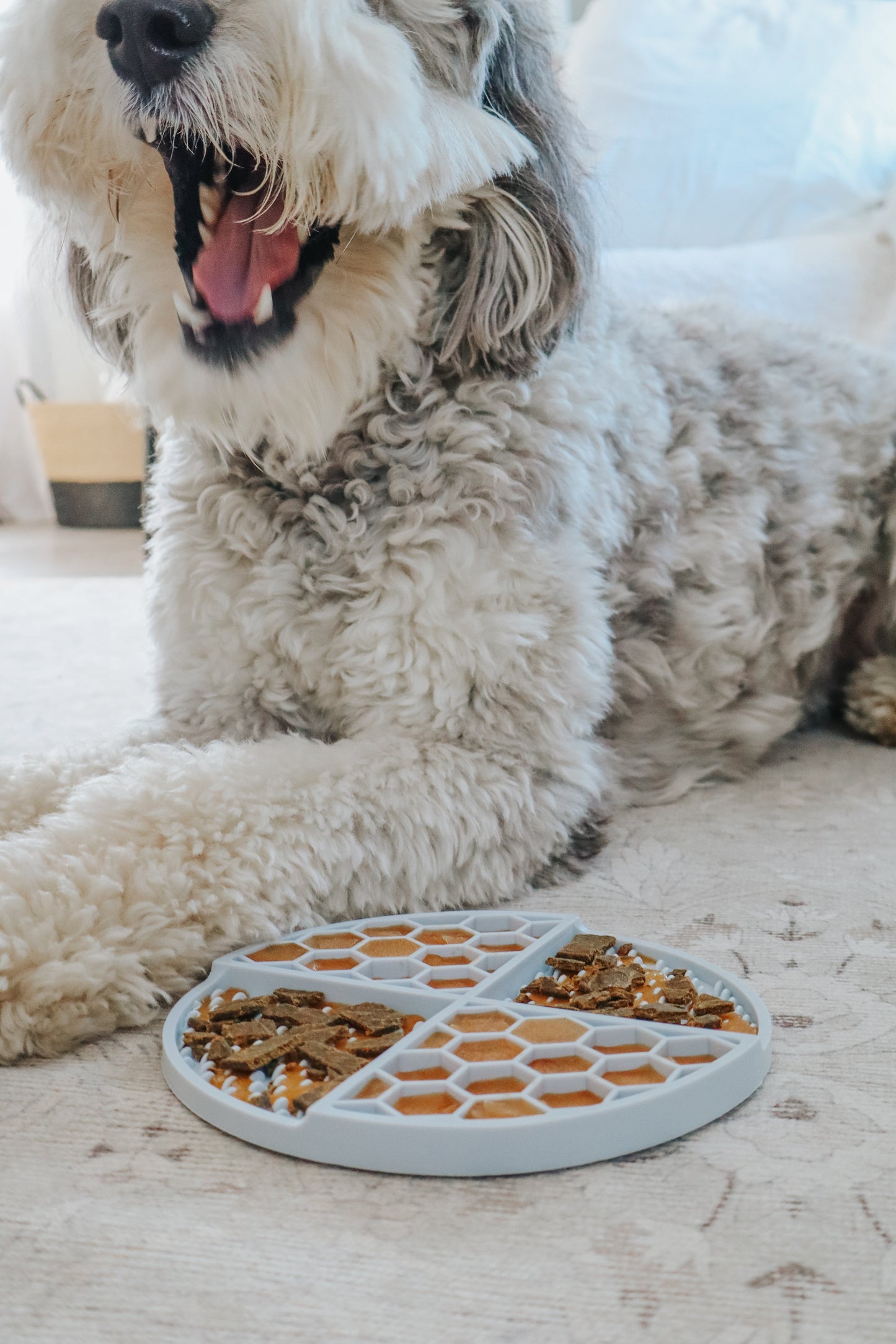 Dog Lick Mat