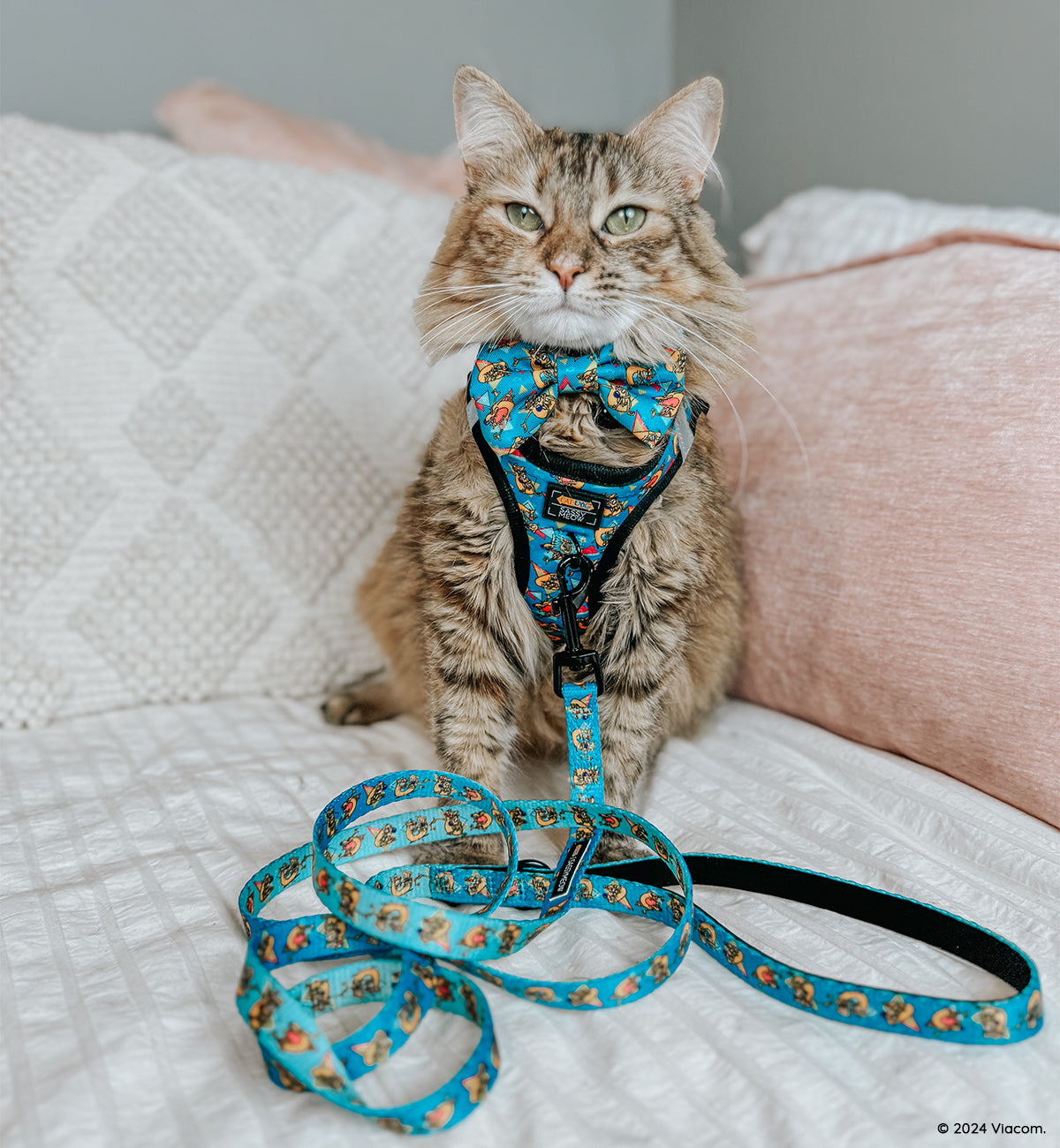 Cat Bundle - Nickelodeon CatDog™