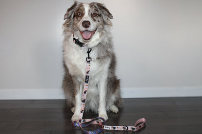 Dog Collar - Disney's Pocahontas