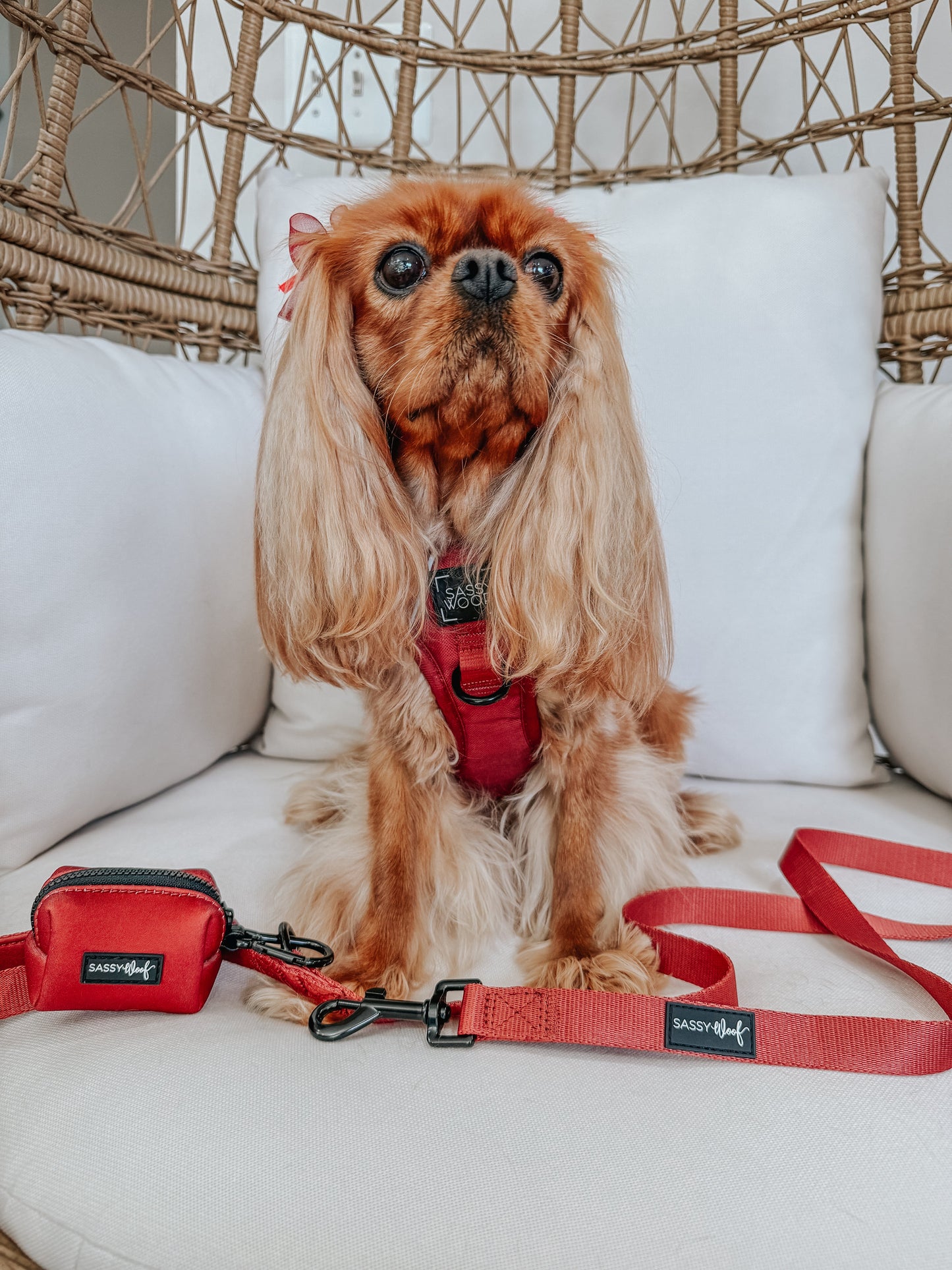 Dog Waste Bag Holder - Burgundy