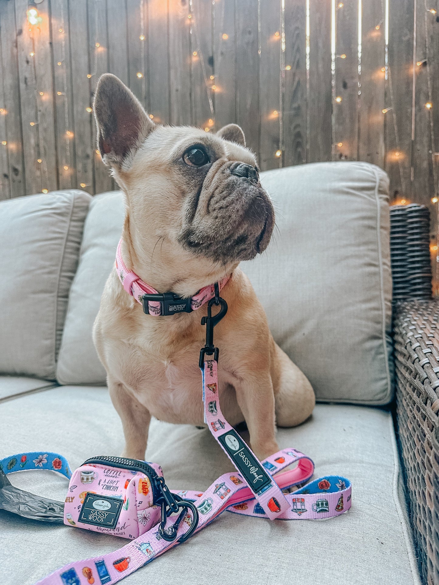 Dog Collar Three Piece Bundle - Gilmore Girls™