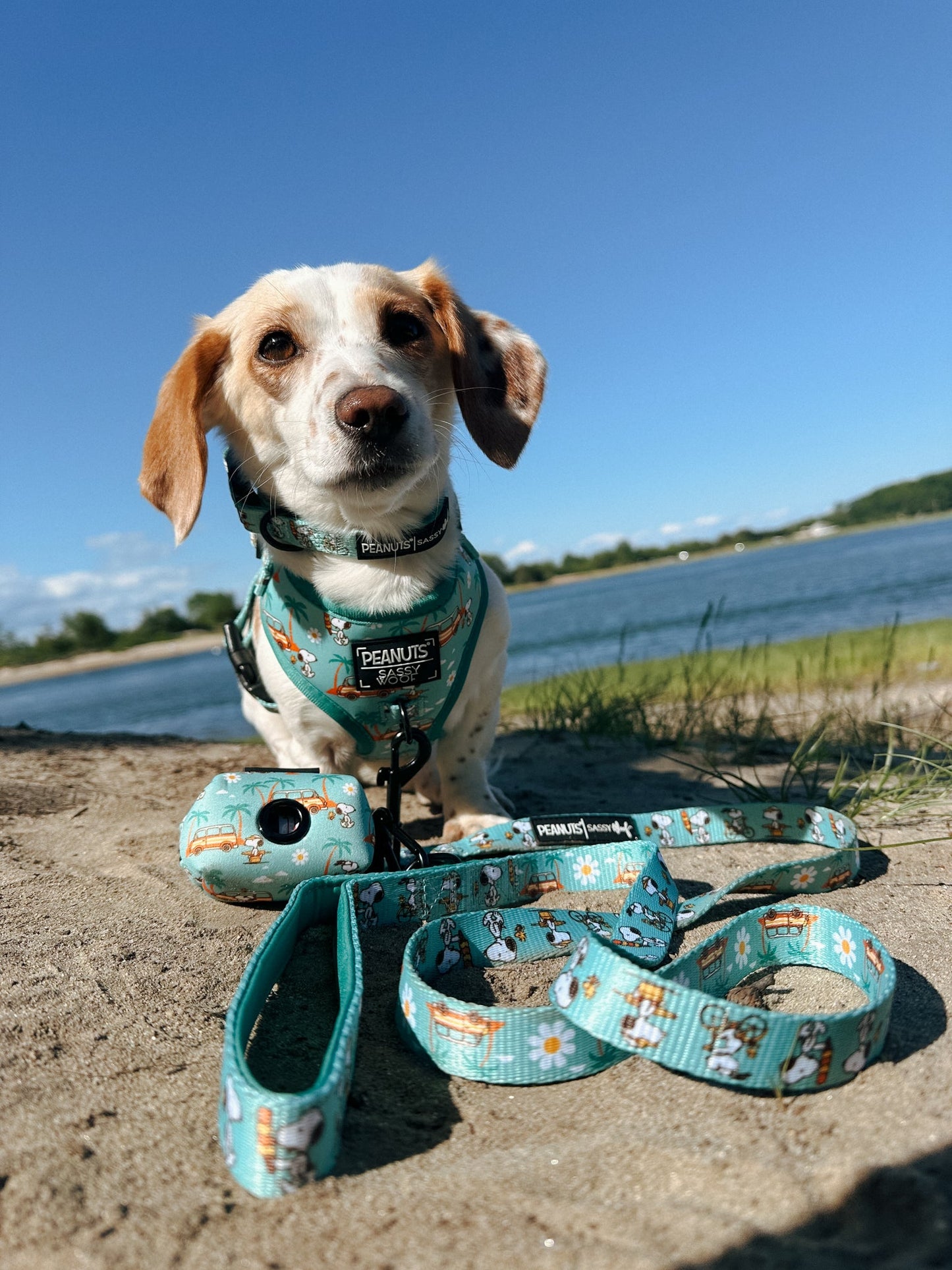 Dog Collar Three Piece Bundle - Peanuts™ Road Tripping