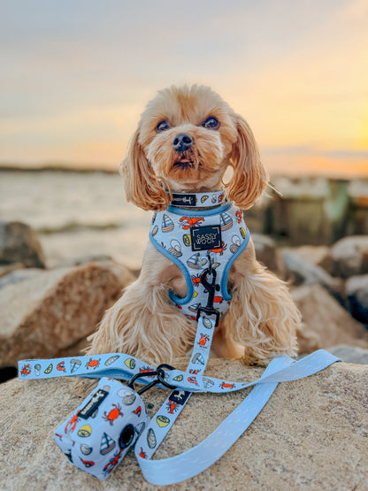 Dog Four Piece Bundle - Coastal Cuties