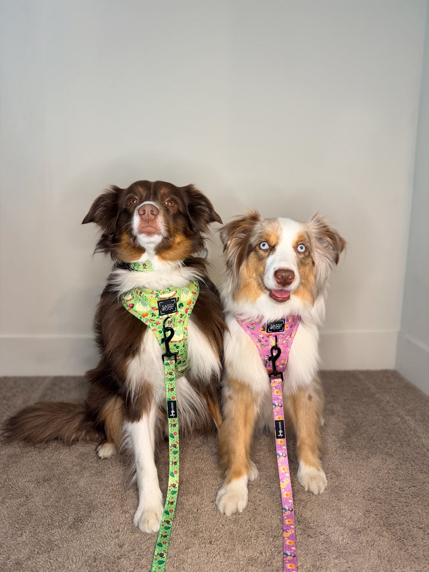 Dog Leash - Disney's Tiana