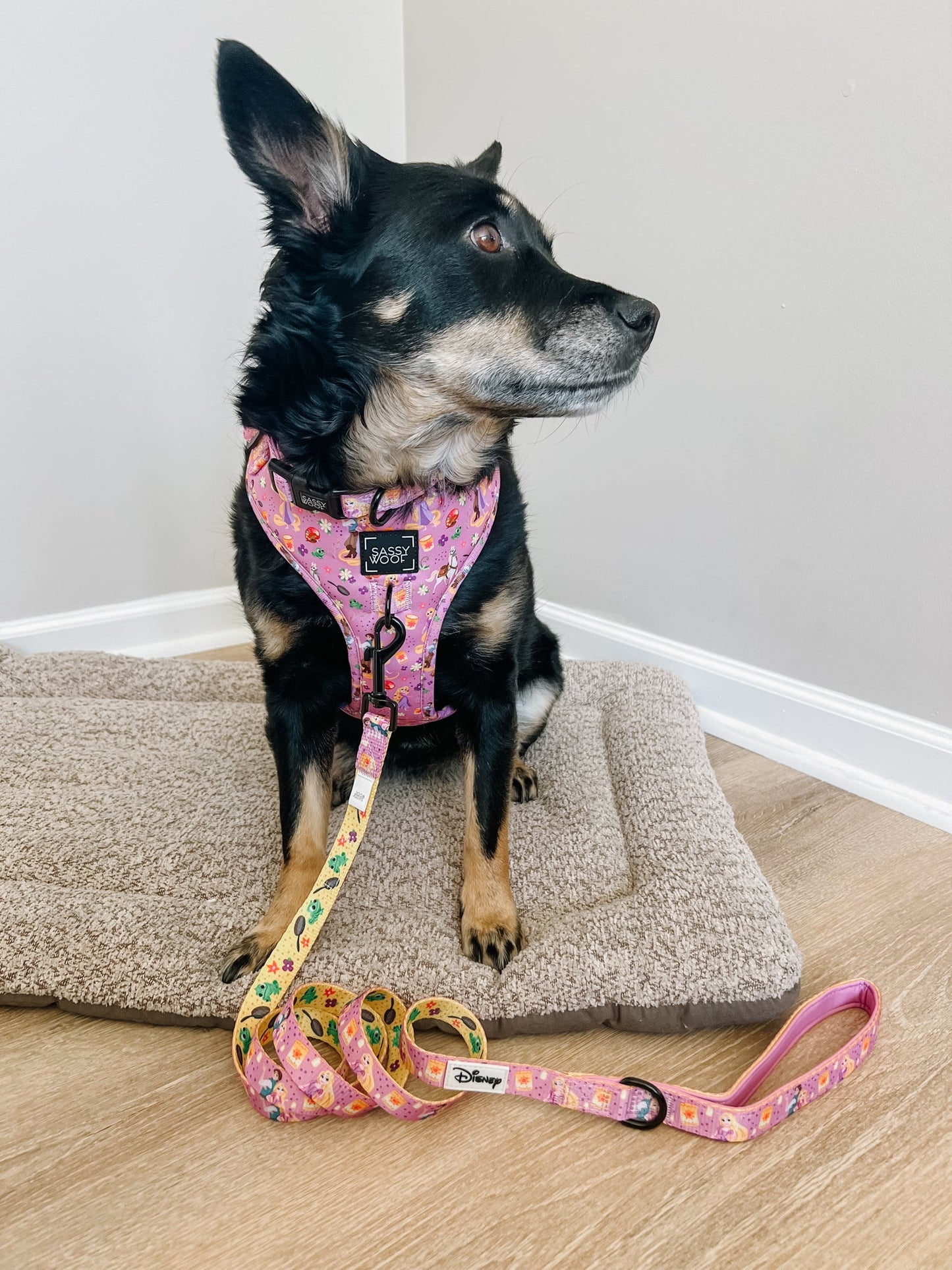 Dog Two Piece Bundle - Disney's Rapunzel