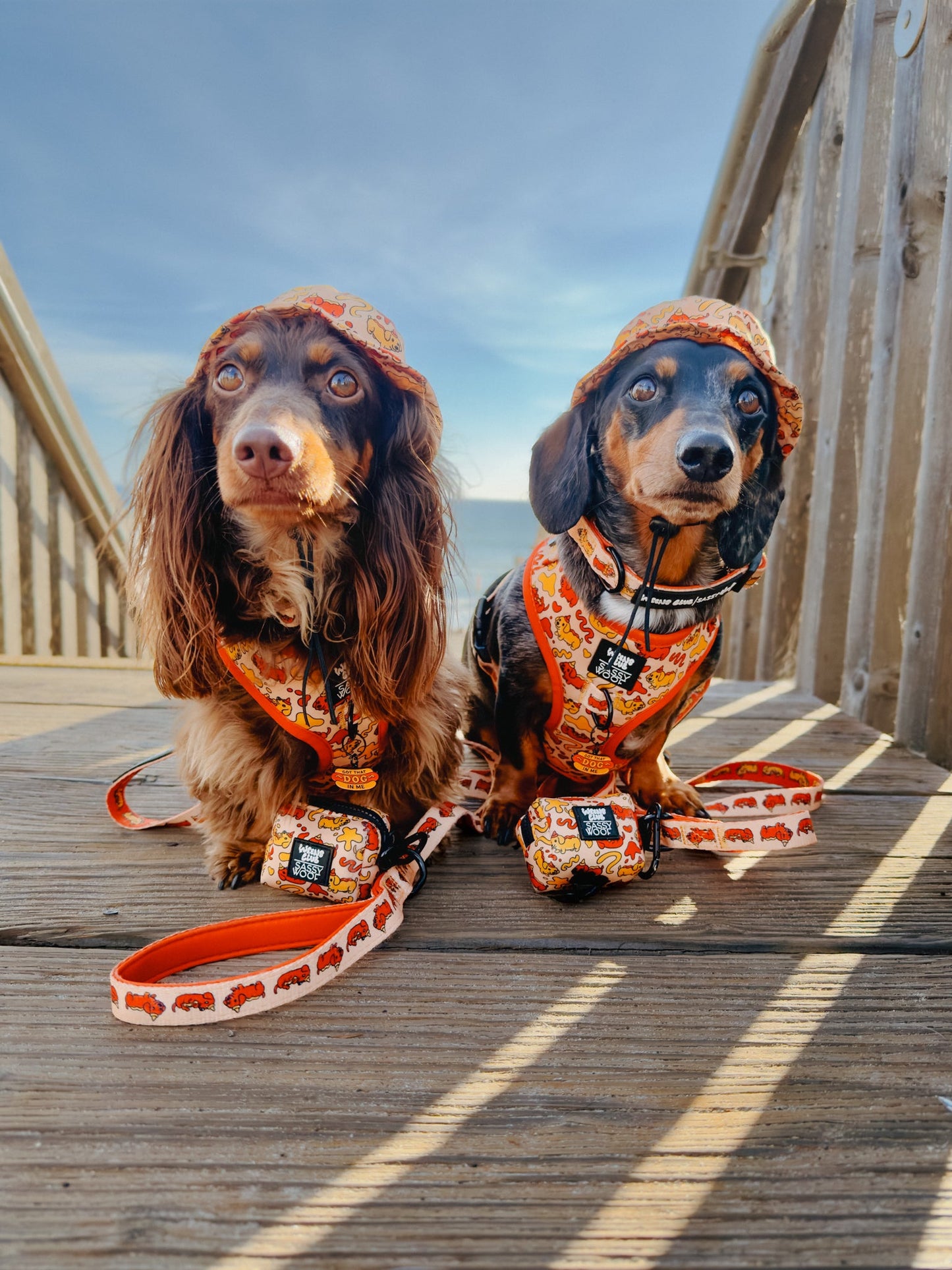 Dog Two Piece Bundle - Hot Dawg