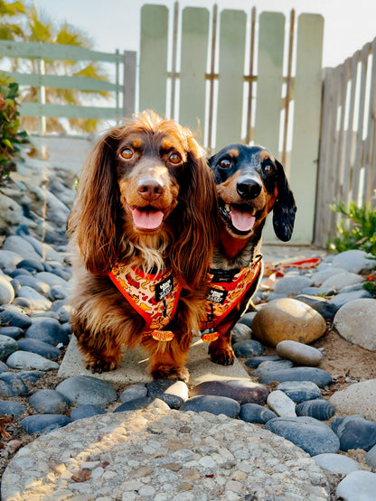 Dog Two Piece Bundle - Hot Dawg