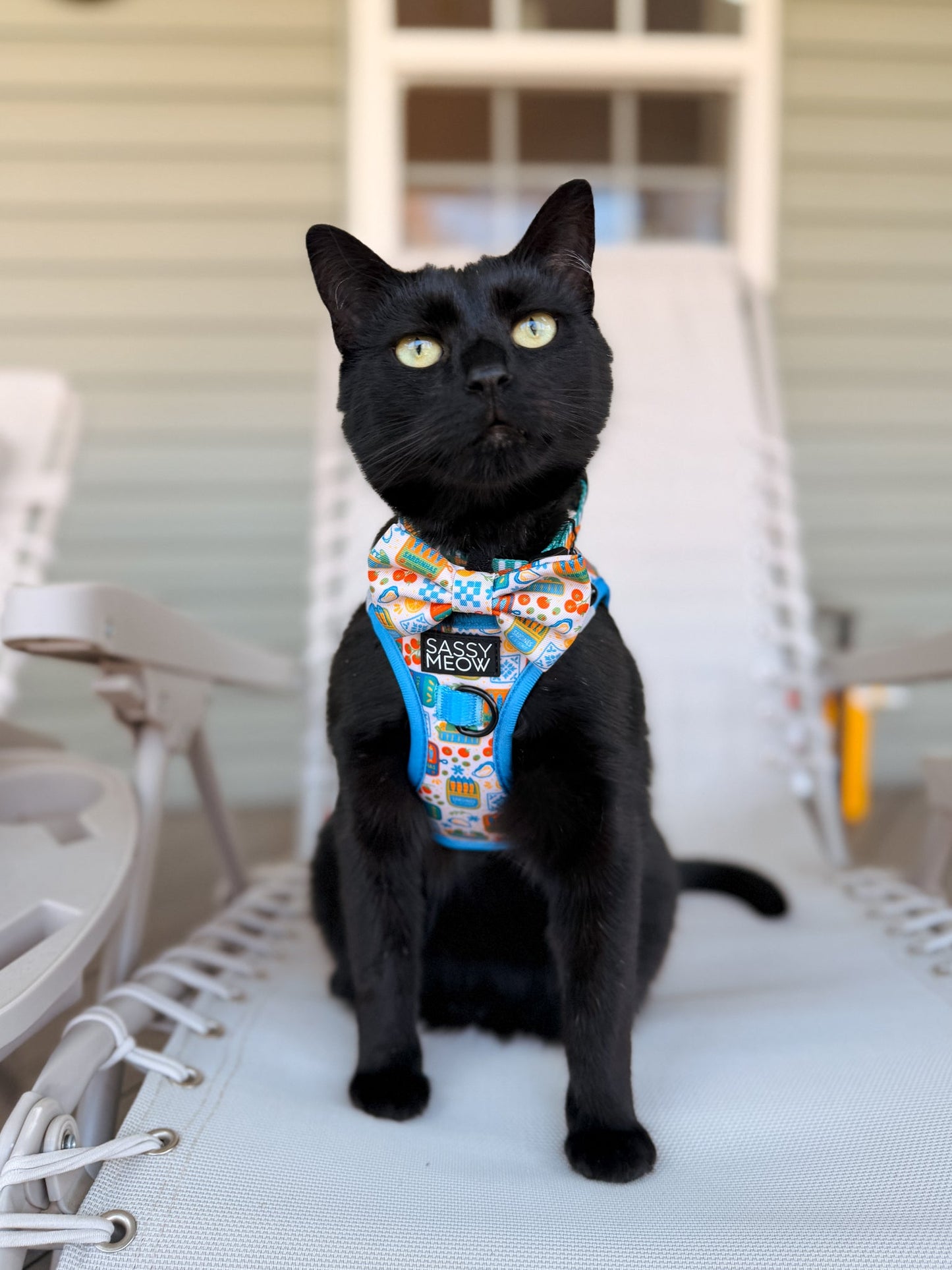 Cat Step-In Harness - Portofino