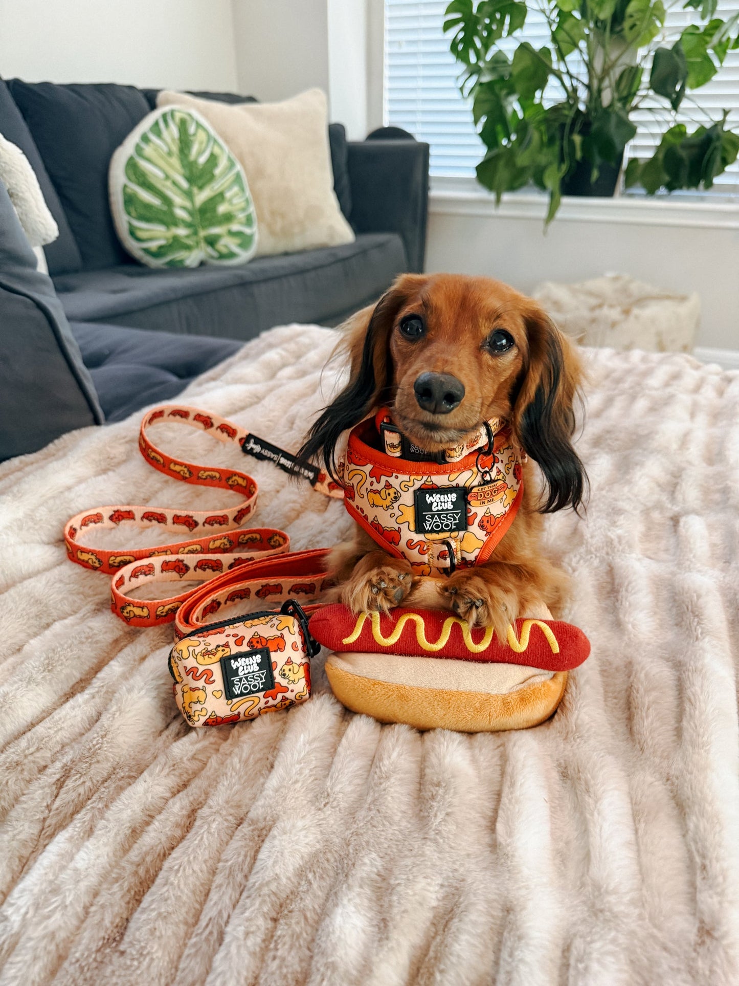 Dog Adjustable Harness - Hot Dawg
