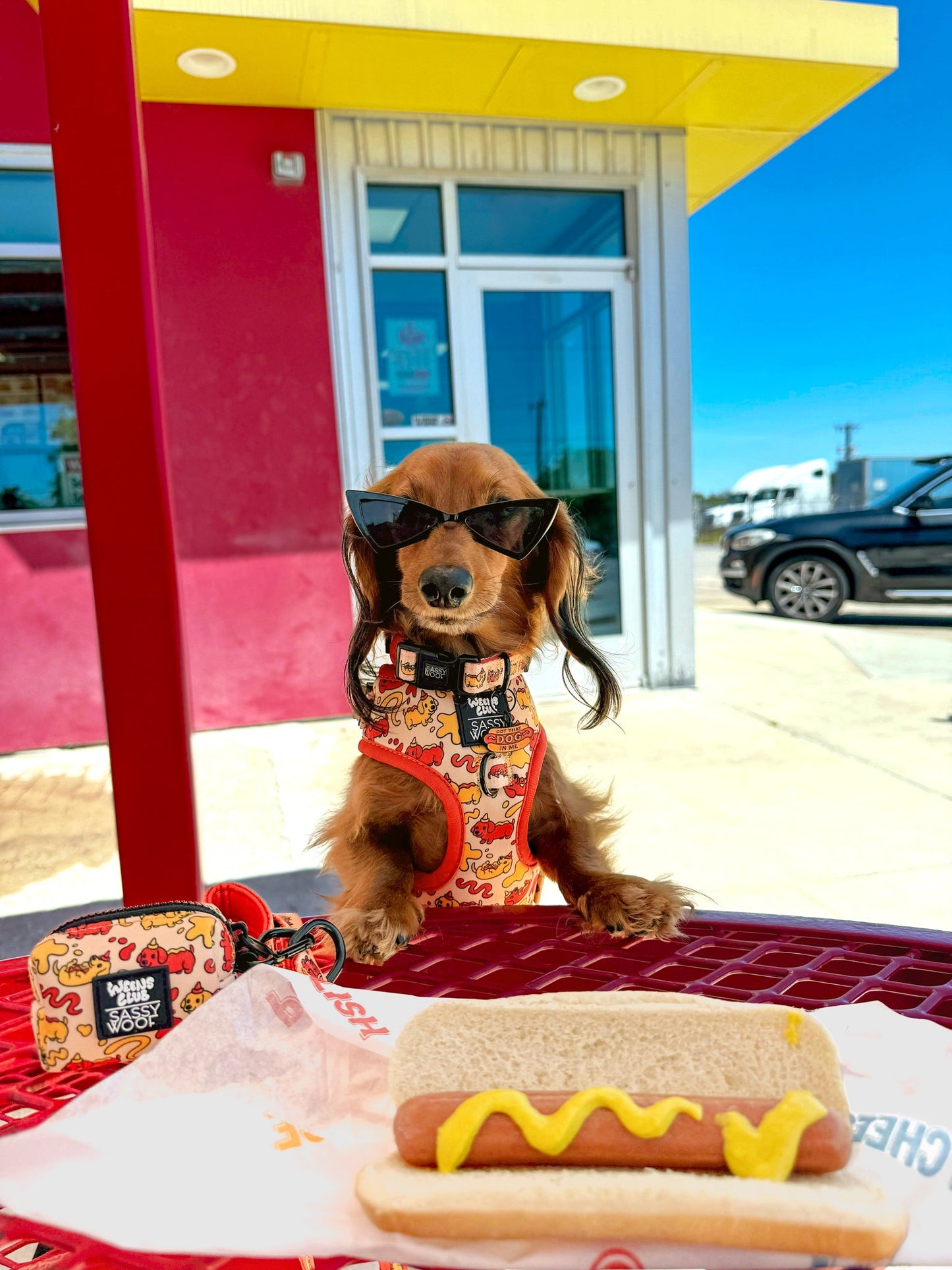 Dog Adjustable Harness - Hot Dawg
