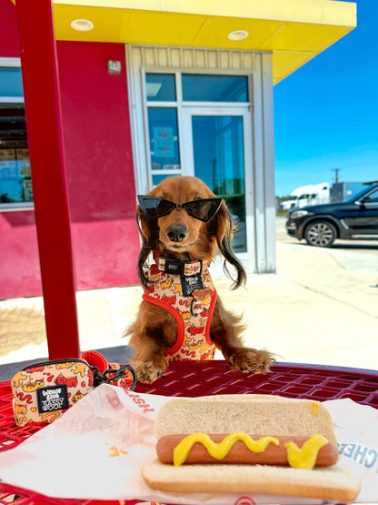 Dog Adjustable Harness - Hot Dawg
