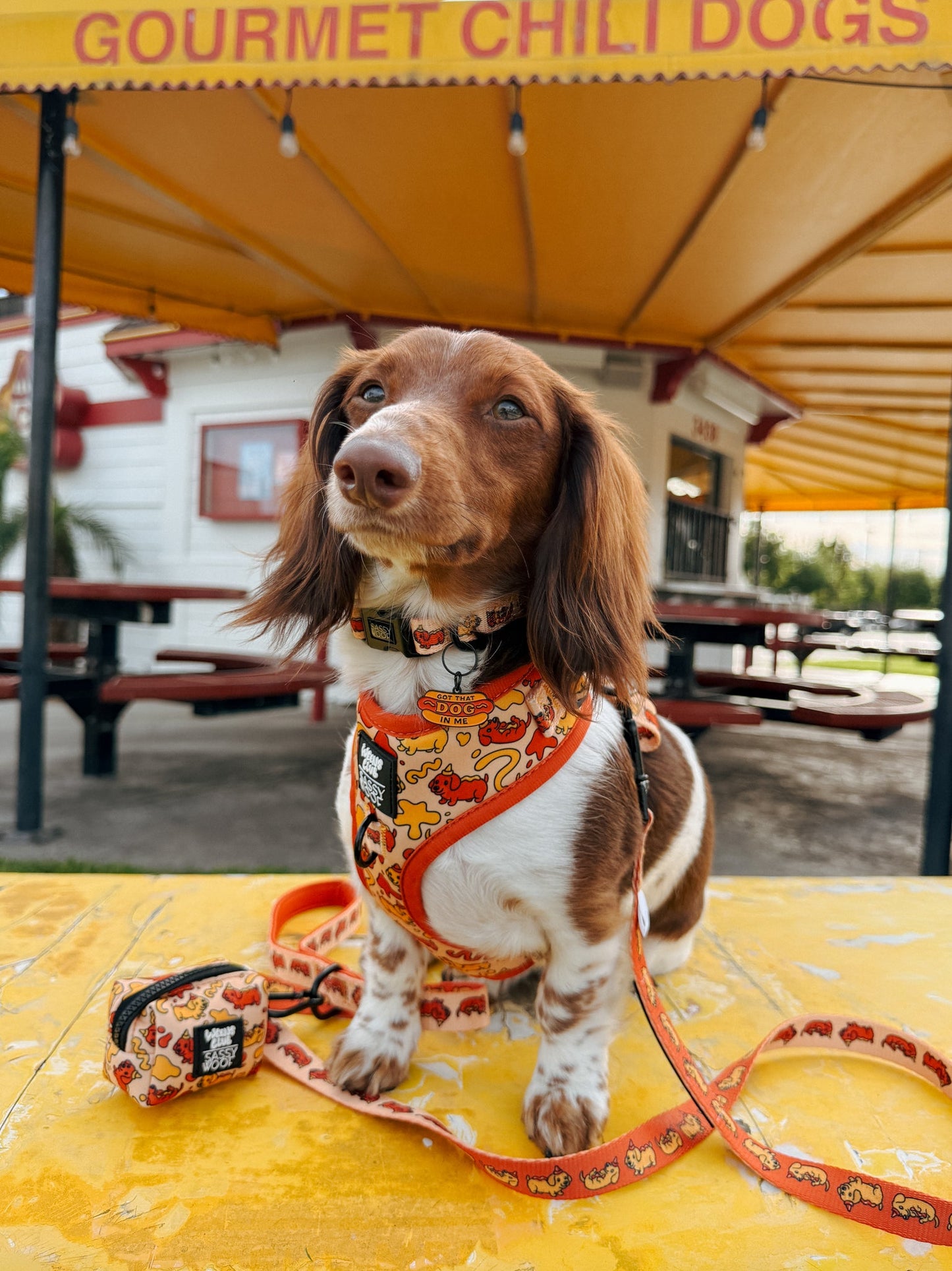 Dog Two Piece Bundle - Hot Dawg