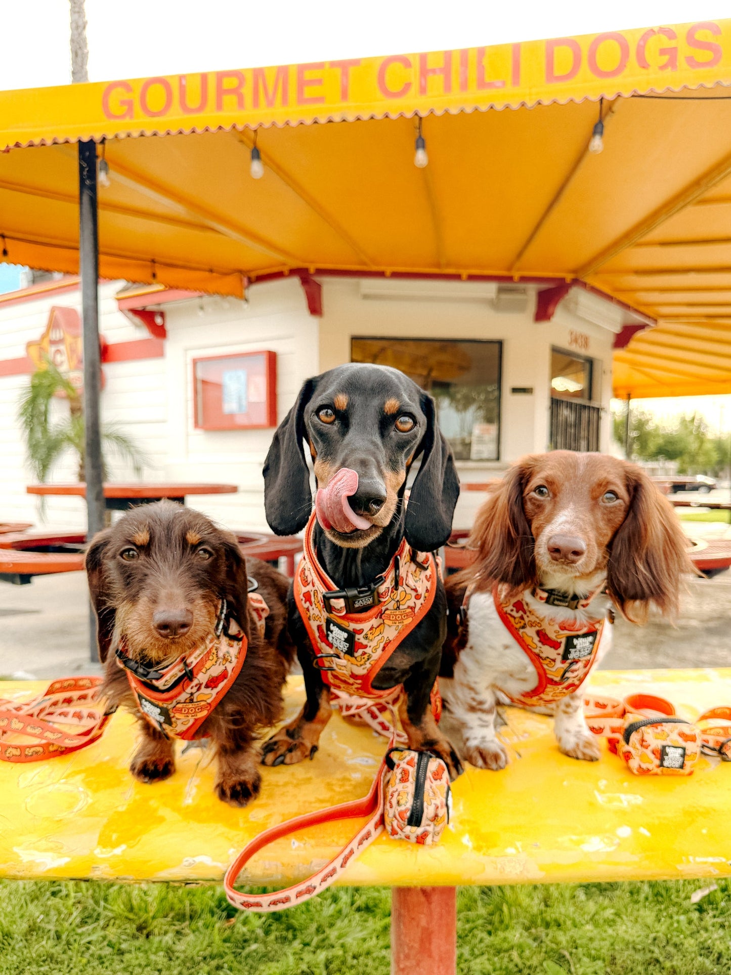 Dog Two Piece Bundle - Hot Dawg