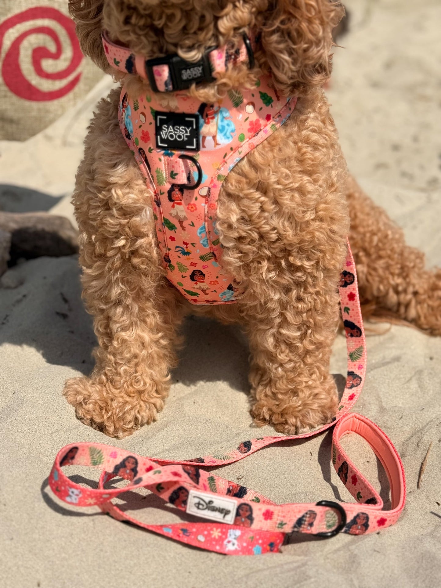 Dog Adjustable Harness - Disney's Moana