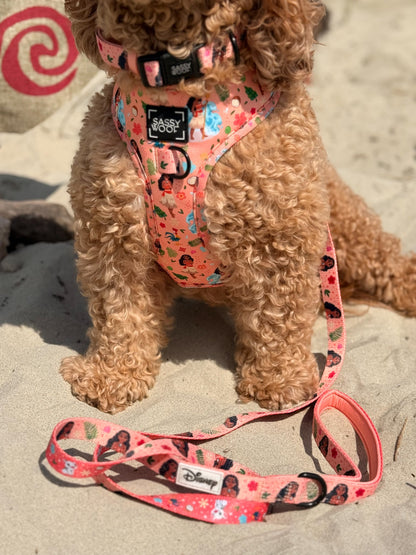 Dog Adjustable Harness - Disney's Moana