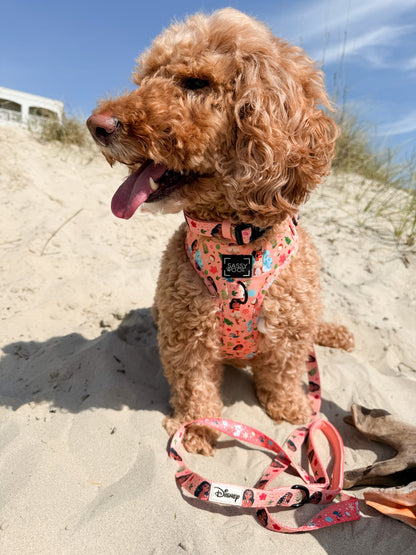 Dog Adjustable Harness - Disney's Moana